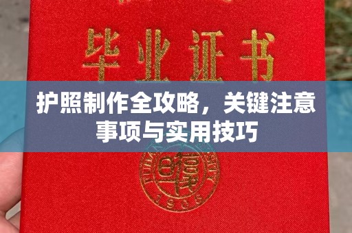 芦竹护照制作全攻略，关键注意事项与实用技巧