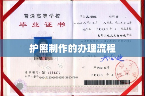 芦竹护照制作的办理流程