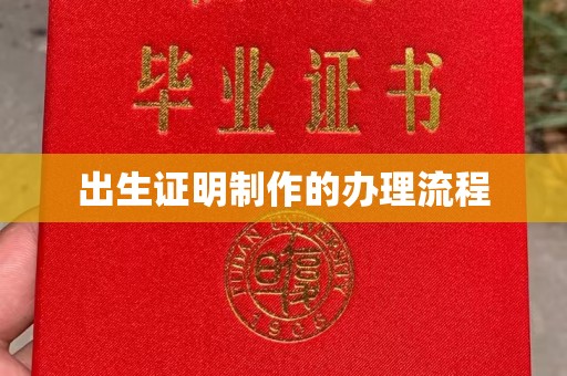 芦竹出生证明制作的办理流程