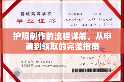 芦竹护照制作的流程详解，从申请到领取的完整指南