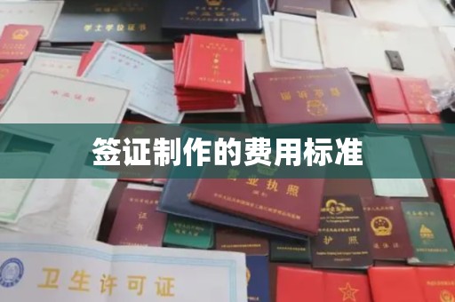 芦竹签证制作的费用标准
