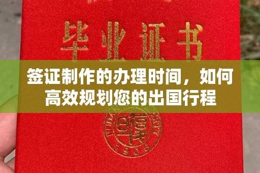 芦竹签证制作的办理时间，如何高效规划您的出国行程
