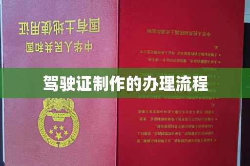 芦竹驾驶证制作的办理流程