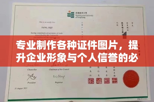 芦竹专业制作各种证件图片，提升企业形象与个人信誉的必备之选