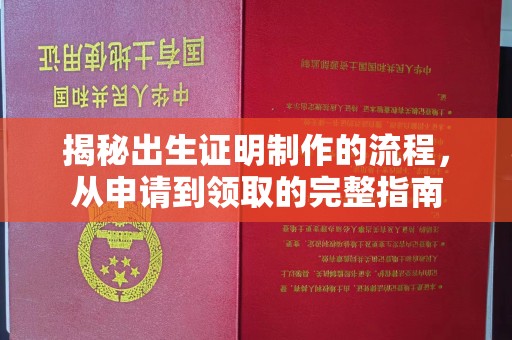芦竹揭秘出生证明制作的流程，从申请到领取的完整指南