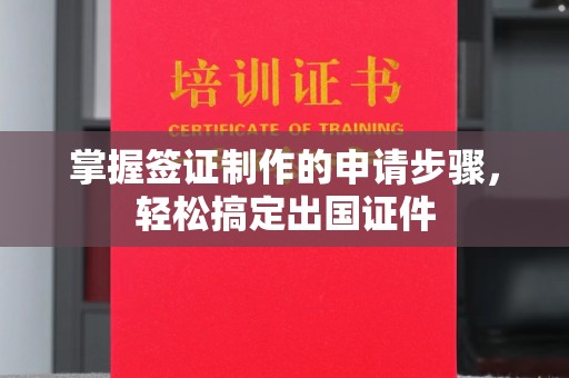 芦竹掌握签证制作的申请步骤，轻松搞定出国证件