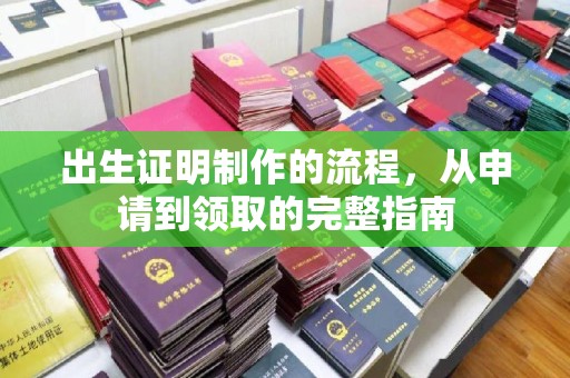 芦竹出生证明制作的流程，从申请到领取的完整指南