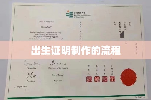 芦竹出生证明制作的流程