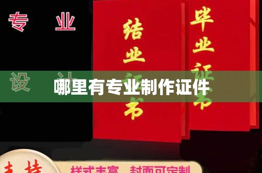 芦竹哪里有专业制作证件