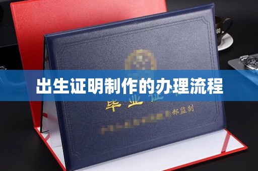 芦竹出生证明制作的办理流程