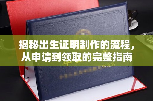 芦竹揭秘出生证明制作的流程，从申请到领取的完整指南