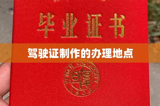芦竹驾驶证制作的办理地点