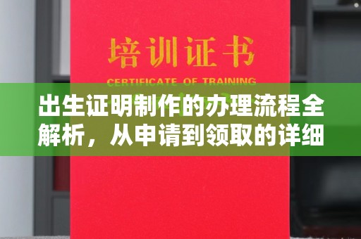 芦竹出生证明制作的办理流程全解析，从申请到领取的详细指南