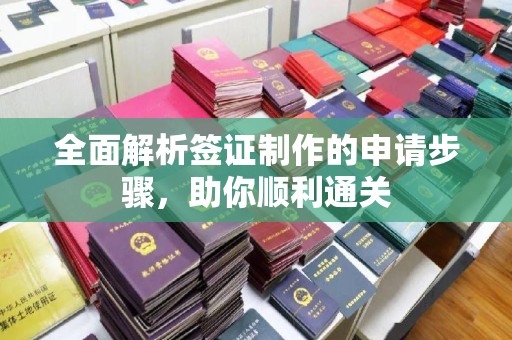 芦竹全面解析签证制作的申请步骤，助你顺利通关