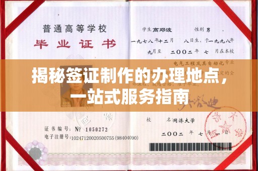 芦竹揭秘签证制作的办理地点，一站式服务指南