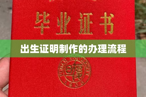 芦竹出生证明制作的办理流程