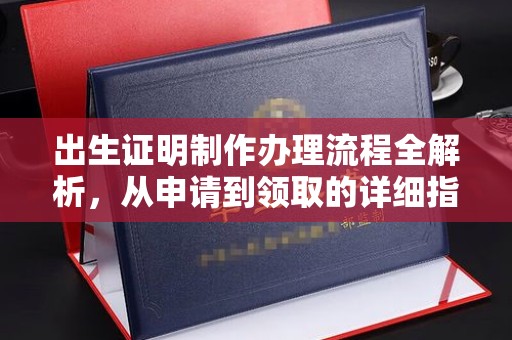 芦竹出生证明制作办理流程全解析，从申请到领取的详细指南