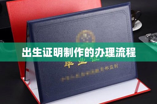 芦竹出生证明制作的办理流程