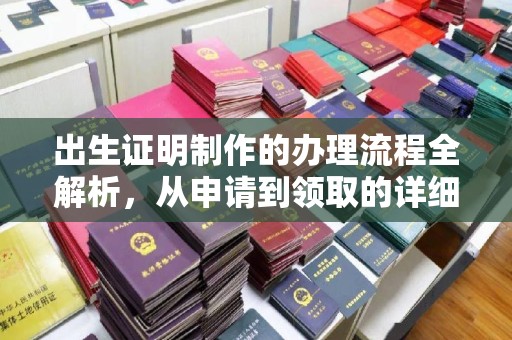 芦竹出生证明制作的办理流程全解析，从申请到领取的详细指南