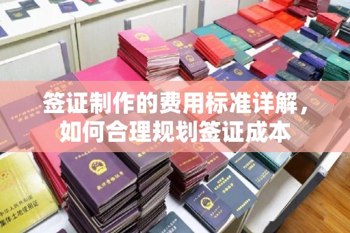 芦竹签证制作的费用标准详解，如何合理规划签证成本