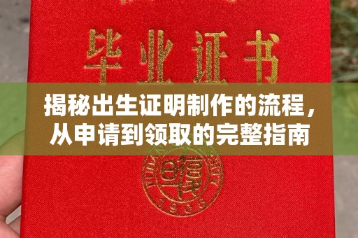 芦竹揭秘出生证明制作的流程，从申请到领取的完整指南